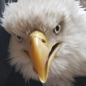 Meet your Posher, Janie